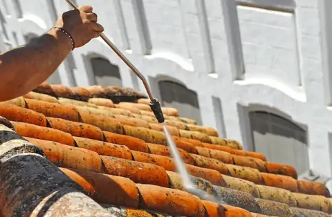 Nettoyage de toitures - Lisle